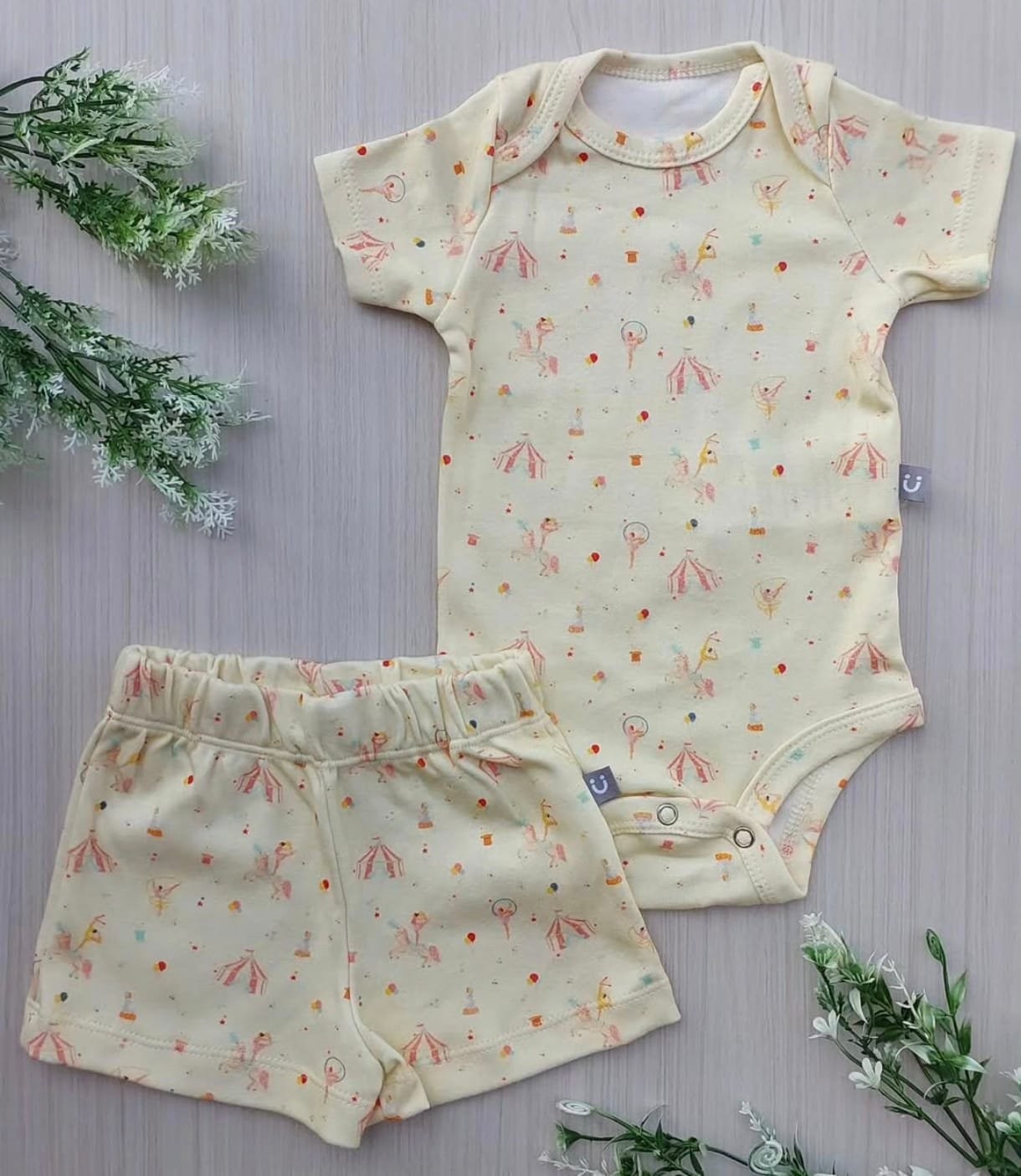 CONJUNTO ESSENCIAL CIRCO