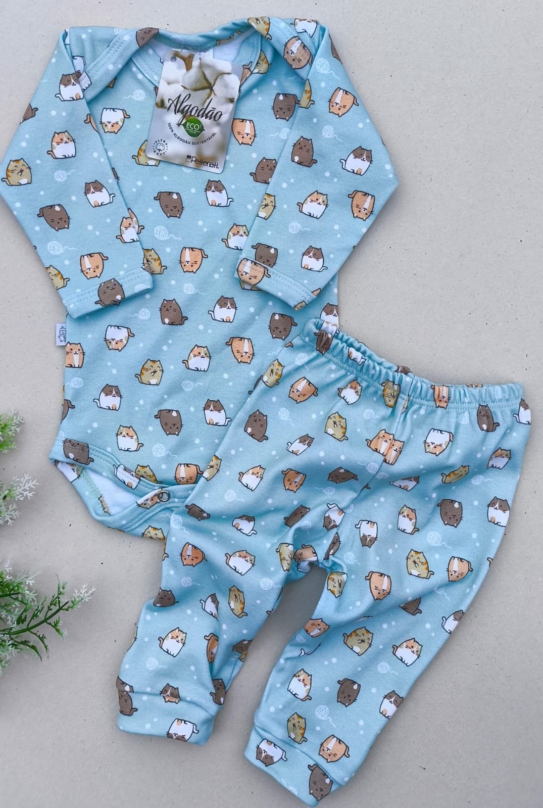 CONJUNTO GATINHOS 