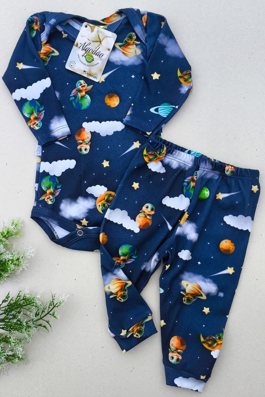 CONJUNTO TARTARUGA NO ESPAÇO