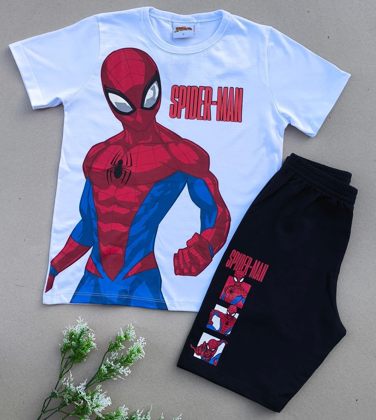 CONJUNTO HOMEM ARANHA