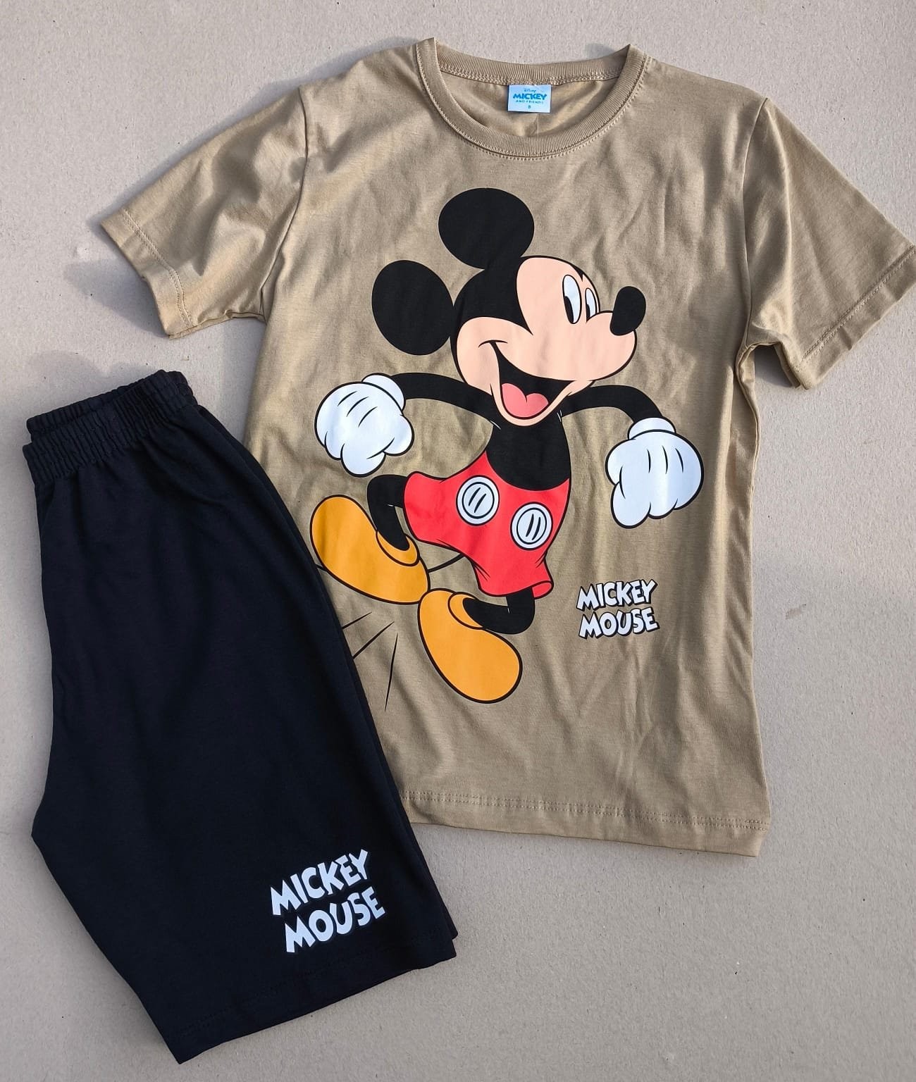 CONJUNTO MICKEY MARROM