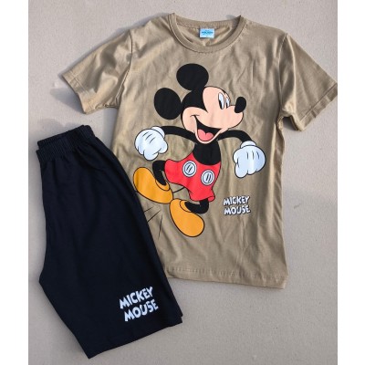 CONJUNTO MICKEY MARROM