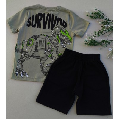 CONJUNTO DINO VERDE